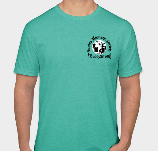 #BuddyStrong Fundraiser - unisex shirt design - small