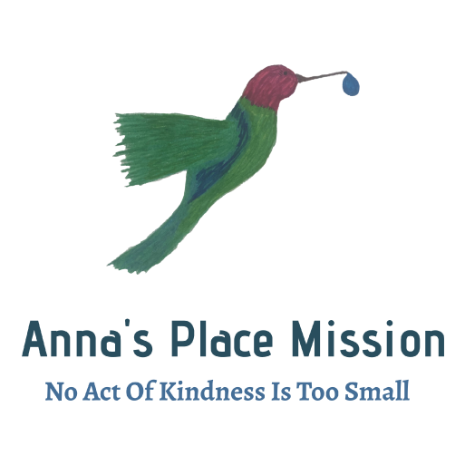 Anna's Place Mission Summer Fundraiser shirt design - zoomed
