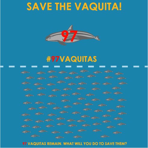 Save the Vaquita! 97 remain! shirt design - zoomed