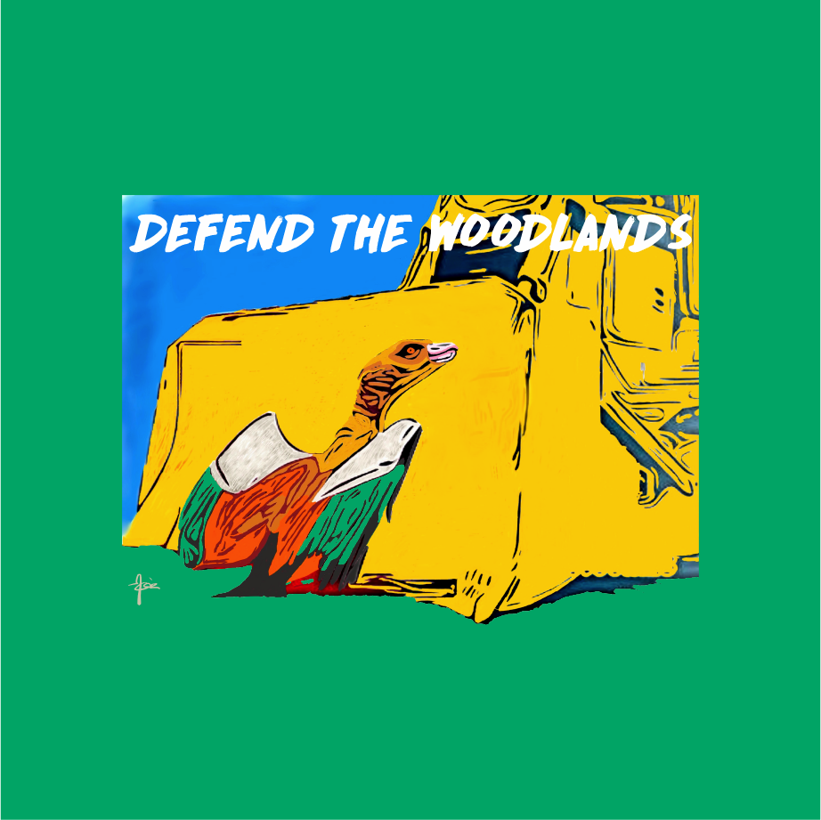 Defend The Woodlands shirt design - zoomed