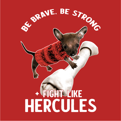 Hercules is our Hero! shirt design - zoomed