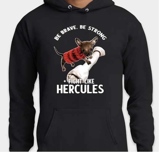 Hercules is our Hero! Fundraiser - unisex shirt design - front