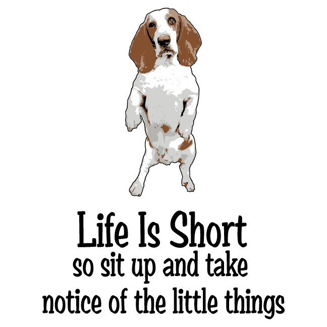 Basset Rescue Of Old Dominion (BROOD) and Suncoast Basset Rescue Fundraiser shirt design - zoomed