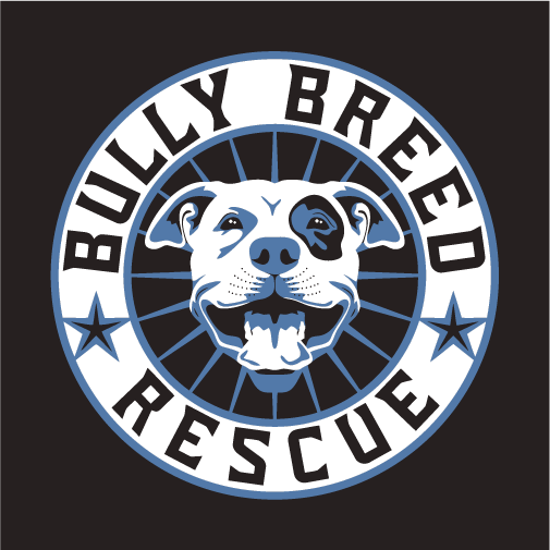 Black Bully Breed Rescue Hoodies are back for ordering! shirt design - zoomed