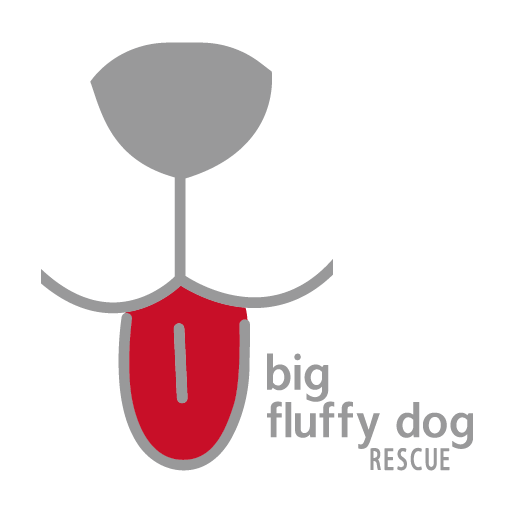Masks from Big Fluffy Dog Rescue: protect yourself with style. shirt design - zoomed