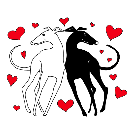 Greyhound Friends of NC Valentine Fundraiser shirt design - zoomed