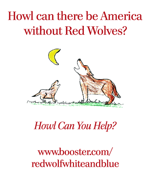 Howl Can We Save America's Red Wolves? shirt design - zoomed