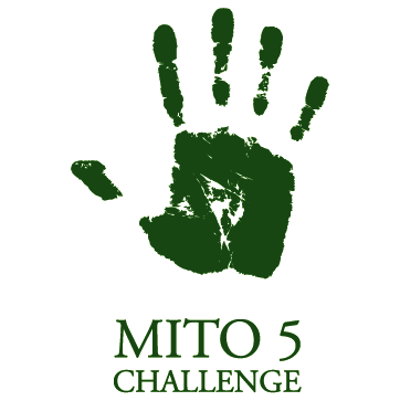 MITO 5 CHALLENGE shirt design - zoomed
