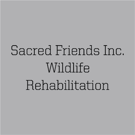 Sacred Friend Inc. Wildlife Rehabilitation shirt design - zoomed