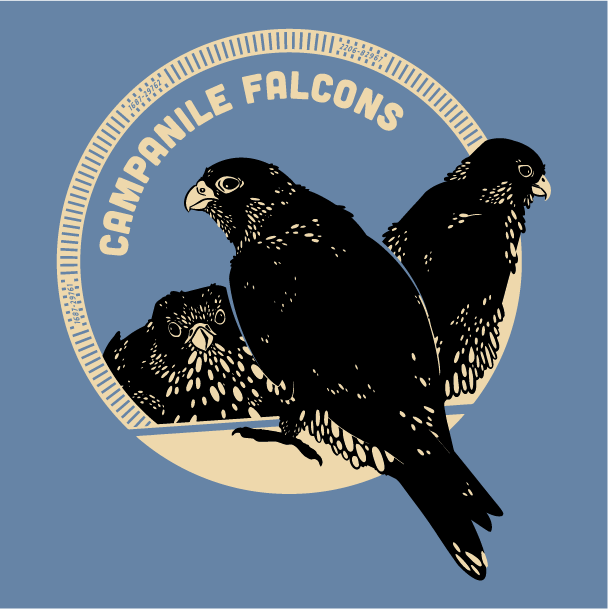 Campanile Falcons Winter Fundraiser shirt design - zoomed