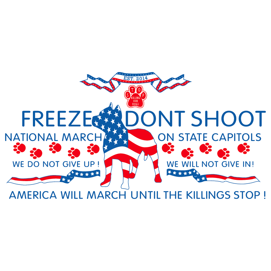 Freeze Dont Shoot National March on State Capitols shirt design - zoomed