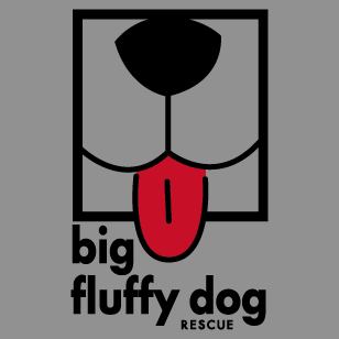 Big Fluffy Dog Rescue BadA$$ Hoodies shirt design - zoomed