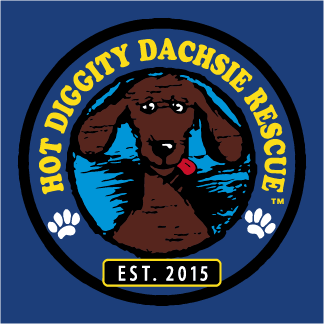 HOT DIGGITY DACHSIE RESCUE T-SHIRTS HAVE ARRIVED shirt design - zoomed