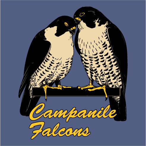 Campanile Falcons 2022 shirt design - zoomed