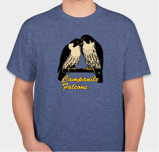 Campanile Falcons 2022 Fundraiser - unisex shirt design - front