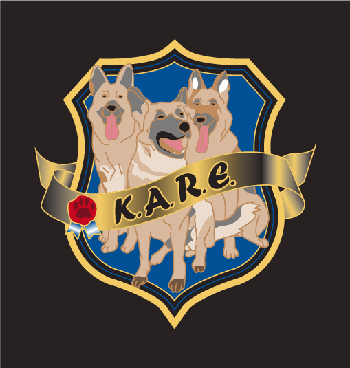 Wives Behind the Badge KARE Fundraiser shirt design - zoomed