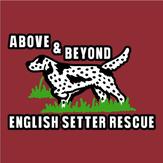 Above and Beyond English Setter shirt design - zoomed