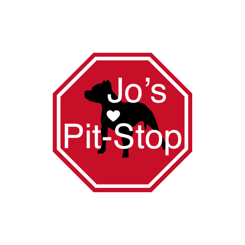 Jo's Pit-Stop Fund Raiser shirt design - zoomed