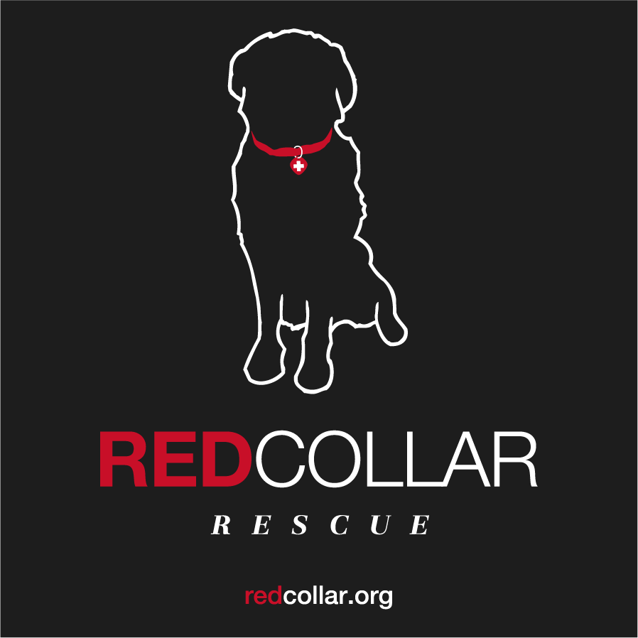 Foster, Donate, Adopt with Red Collar Rescue shirt design - zoomed