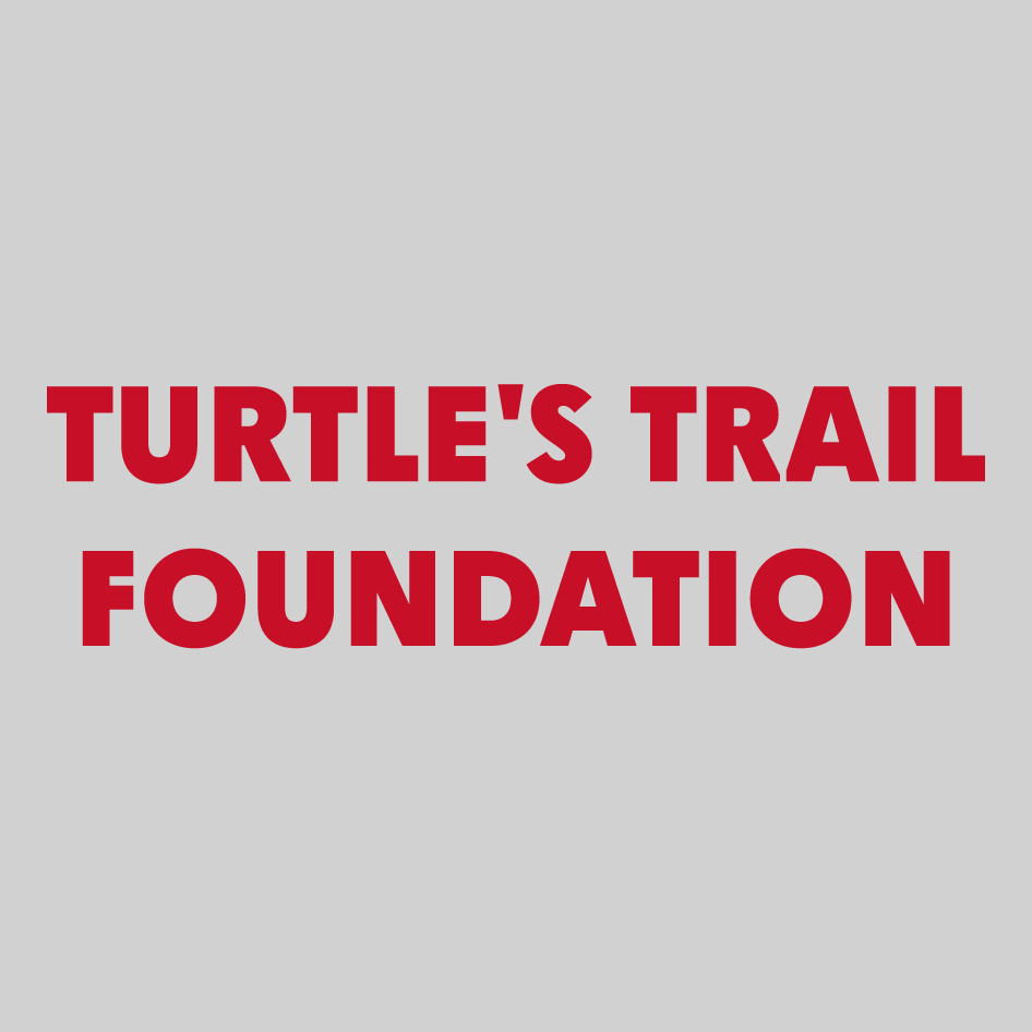 Turtles Trail Foundation T-shirt - Grey shirt design - zoomed