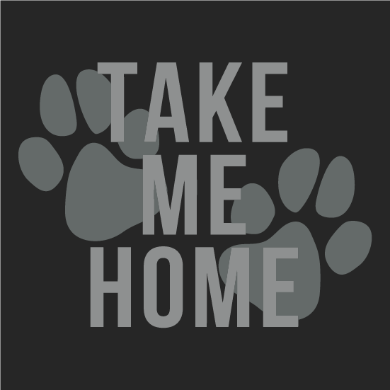 SICSA Take Me Home T-Shirt Fundraiser (Font in Silver Metallic) shirt design - zoomed