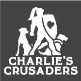 GET YOUR CHARLIE'S ON!! shirt design - zoomed