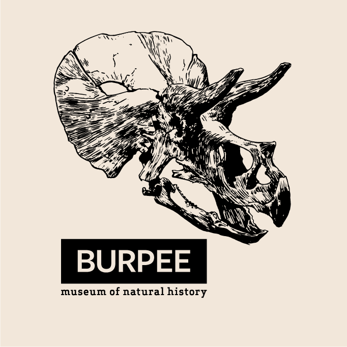 Burpee Family shirt design - zoomed
