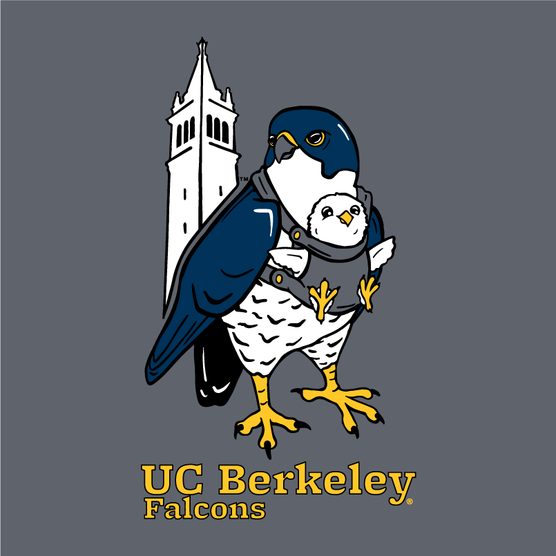 Campanile Falcons Fundraiser - Round 3 shirt design - zoomed