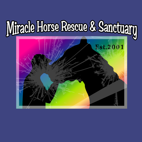 Helping Heal the Hearts of Horses shirt design - zoomed