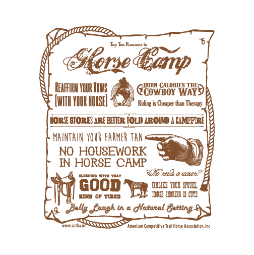 Top 10 Reasons to Horse Camp shirt design - zoomed