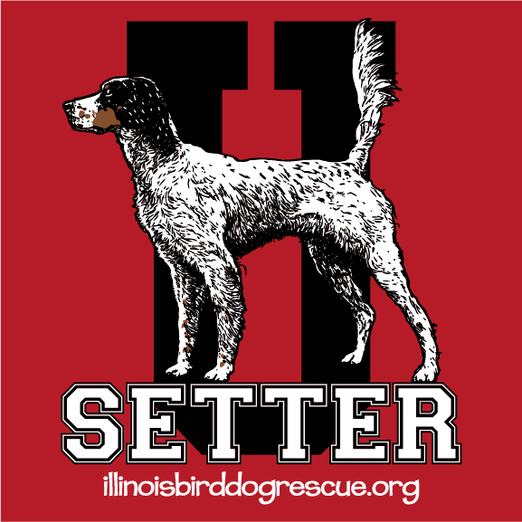 This fundraiser is dedicated to all the English Setters we have saved this year and also to help Harrison with his Heartworm medical expenses. shirt design - zoomed