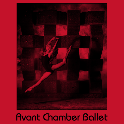 Avant Chamber Ballet Pointe Shoe Fund shirt design - zoomed