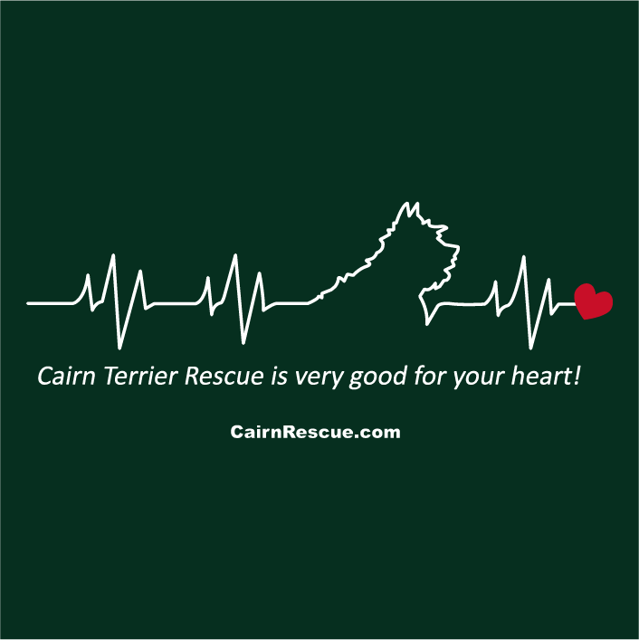 Col. Potter Cairn Rescue Heart Campaign Green Tee shirt design - zoomed