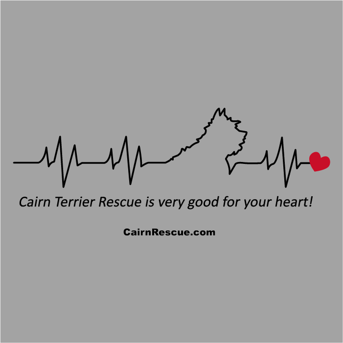 Col. Potter Cairn Rescue Heart Campaign Gray Tee shirt design - zoomed