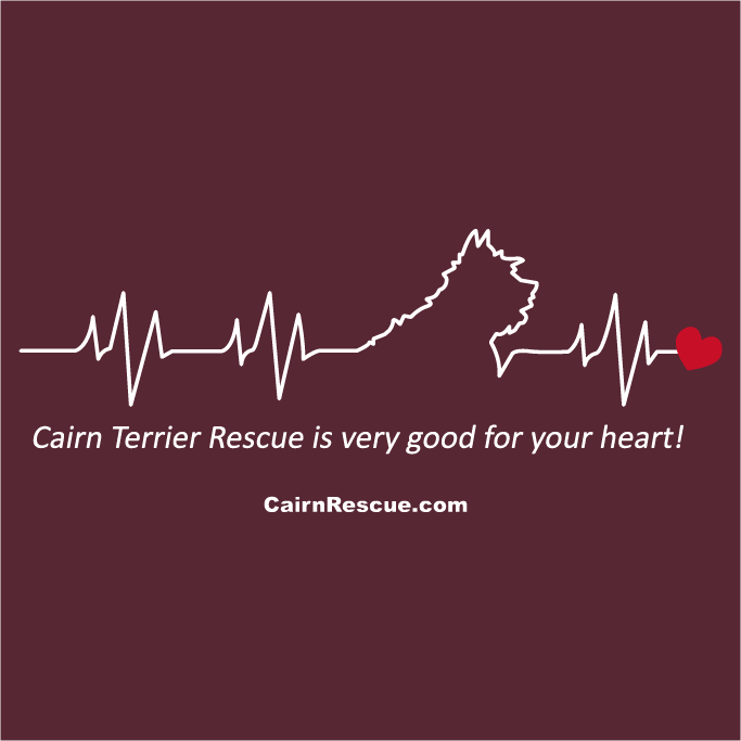 Col. Potter Cairn Rescue Heart Campaign Sweatshirt shirt design - zoomed