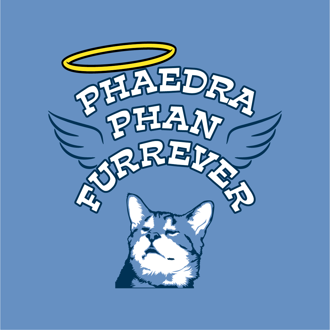 Phaedra Phan Angel shirt design - zoomed