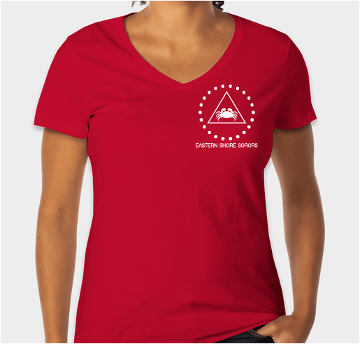 PAAC "Eastern Shore Sorors" Fundraiser Fundraiser - unisex shirt design - front