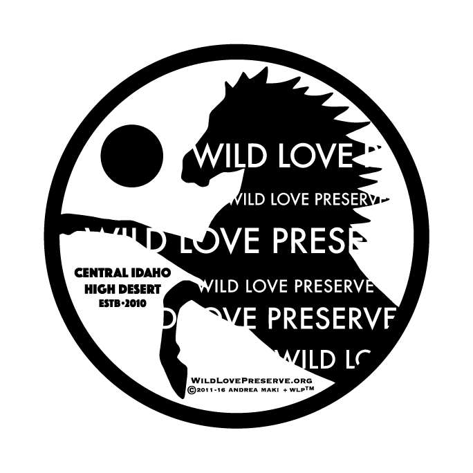 Help A Horse Day and Wild Freedom 2016! shirt design - zoomed