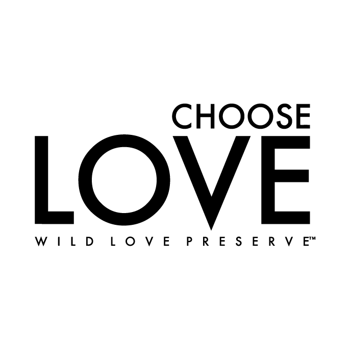 Choose Love: Help Us Save Idaho Wild Horses shirt design - zoomed