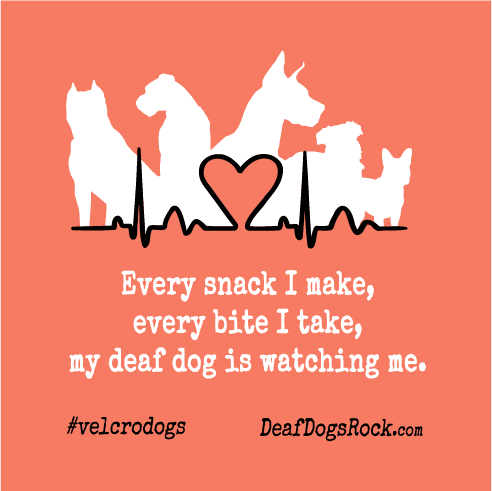 Deaf Dogs Rock - Velcro Dog Spring Fundraiser shirt design - zoomed