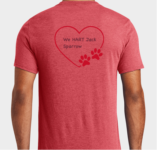 Jack Sparrow Fundraiser - unisex shirt design - back
