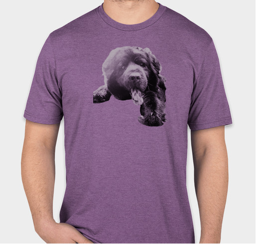 Jack Sparrow Fundraiser - unisex shirt design - front