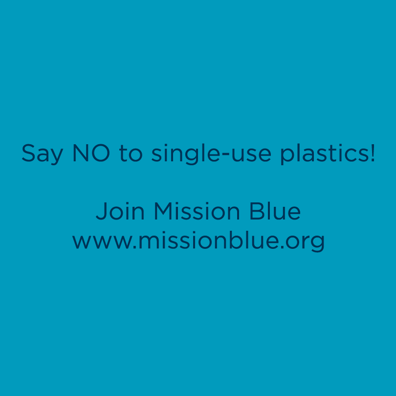 Help Support Mission Blue! shirt design - zoomed