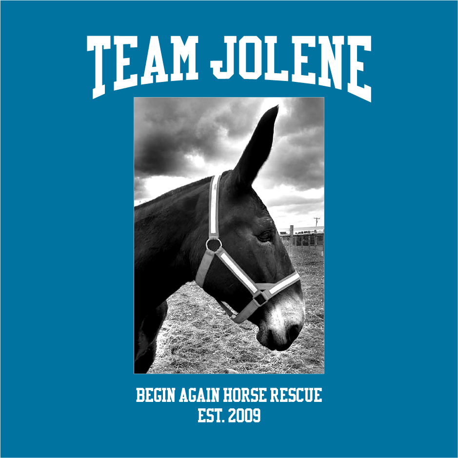 Help Save Jolene! She's made it from hell to Cornell, now she needs your support! shirt design - zoomed