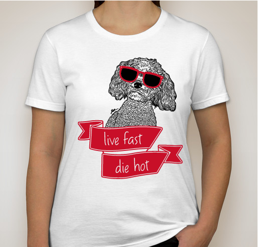 Live Fast Die Hot Fundraiser - unisex shirt design - front
