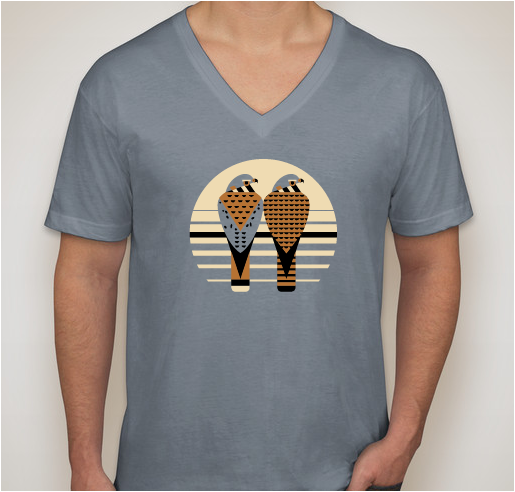 2016 American Kestrel Partnership T-Shirt Fundraiser - Second Chance Fundraiser - unisex shirt design - front