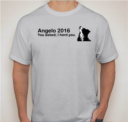 Angelo For President! Fundraiser - unisex shirt design - front