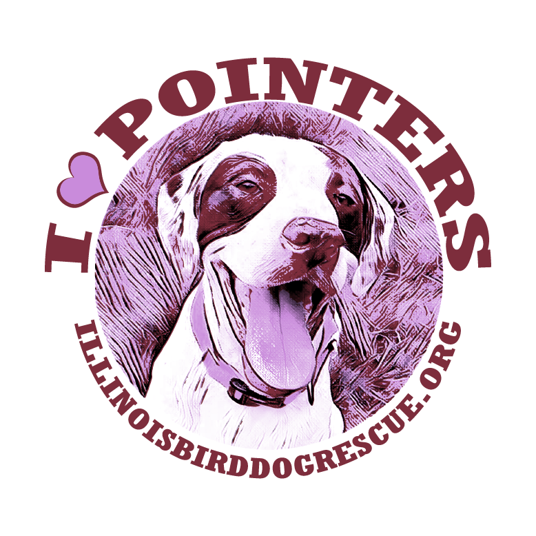 I LOVE POINTERS shirt design - zoomed