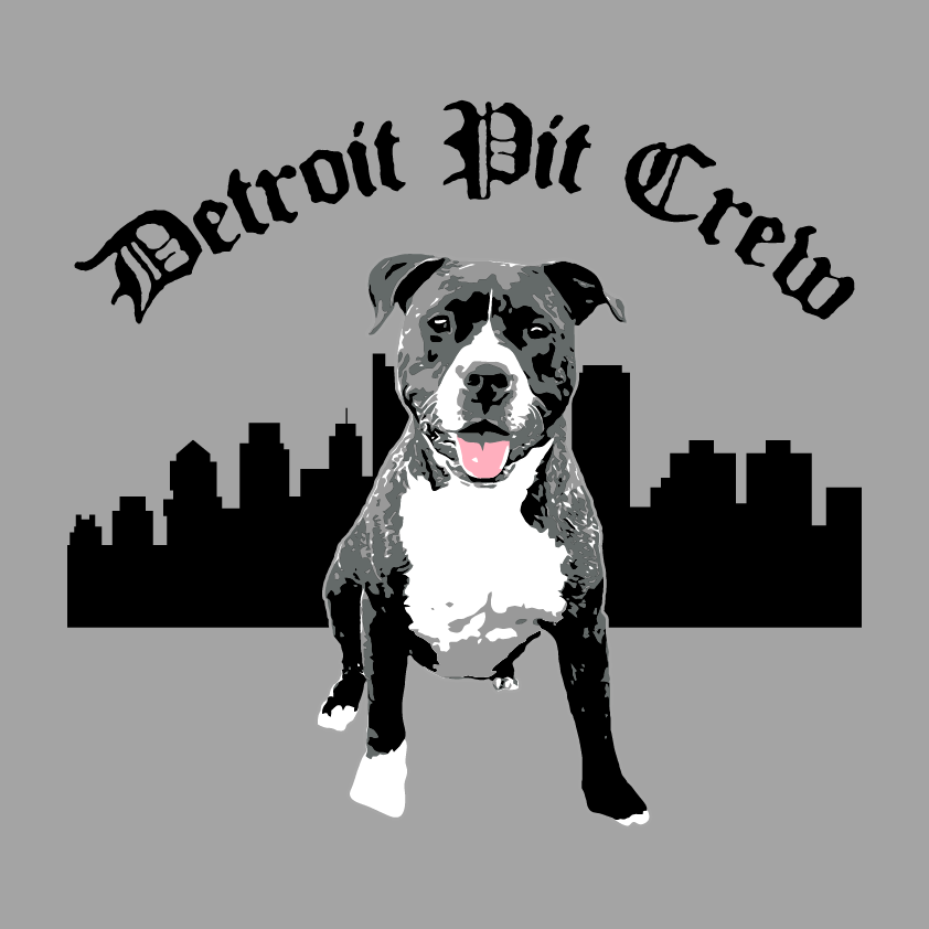SUPPORT DETROIT PIT CREW shirt design - zoomed