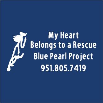 Blue Pearl Project at Oak Meadows Ranch Horse Rescue Baseball Cap Fundraiser shirt design - zoomed